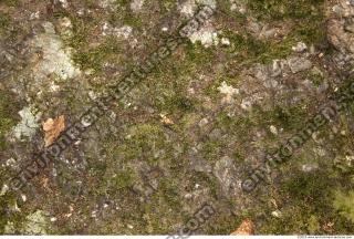 Rocks