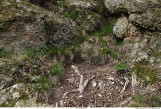 Rocks