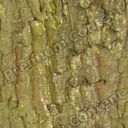 Seamless Bark