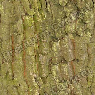 Seamless Bark 0001