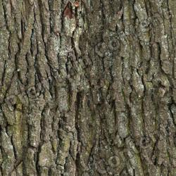 Seamless Bark