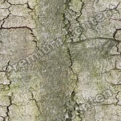 Seamless Bark