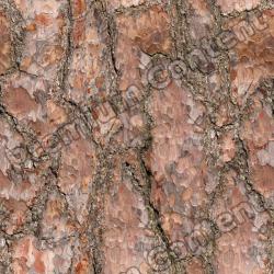 Seamless Bark