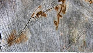 Wood 0002