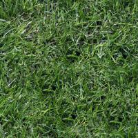 Seamless Grass 0001