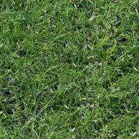 Seamless Grass 0001