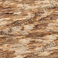 Seamless Wood 0001