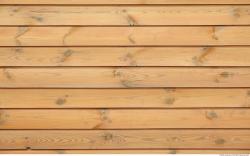 Bare Planks Wood