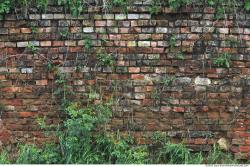 Walls Brick