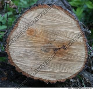 Wood 0028