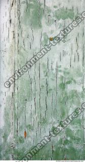 Wood 0027