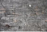 photo texture of wood bare