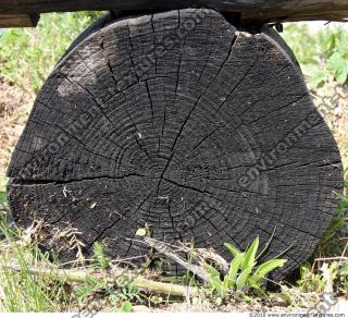 photo texture of wood end