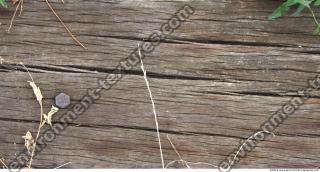 Wood 0002