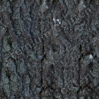 Seamless Bark 0001