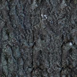 Seamless Bark