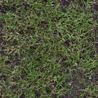 Seamless Grass 0001