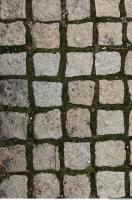 Photo Texture of Overgrown Floor