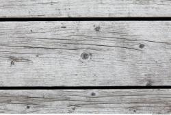 Bare Planks Wood