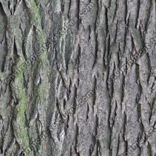 Seamless Bark 0001