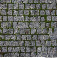 Photo Texture of Overgrown Floor