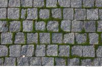 Photo Texture of Overgrown Floor