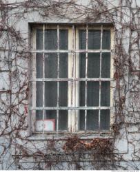 Windows Cellar