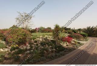 Background Garden 0011