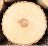 Wood 0011