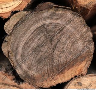 Wood 0019