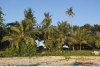 Photo Reference of Background Beach