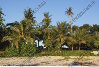 Photo Reference of Background Beach