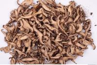 Dried Mushrooms 0001