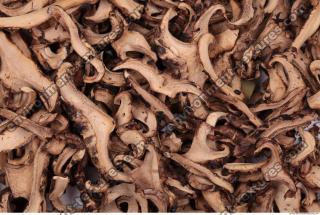 Dried Mushrooms 0002