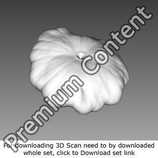 3D Scan of Pumpkin