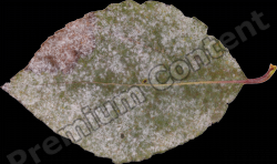 High Resolution Decals Textures 0049