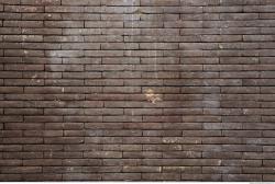 Photo Textures of Wall Brick