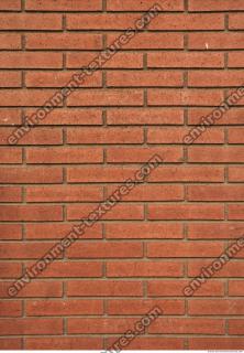 Photo Textures of Wall Brick