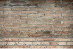 Photo Textures of Wall Brick