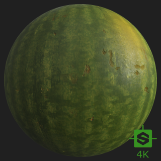 PBR Texture of Watermelon Skin