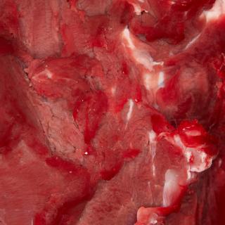 Photo Textures of Beef Meat