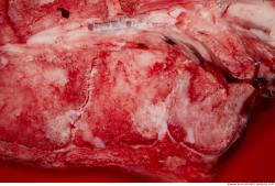 Photo Textures of RAW Beef Meat