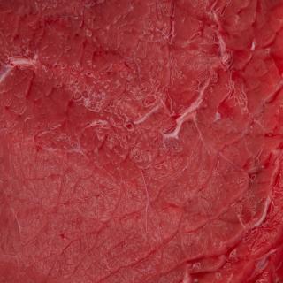 Photo Textures of RAW Pork Meat