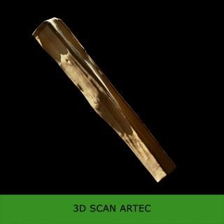 3D scan tree wood