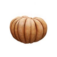 Pumpkin Clean 3D Scan #5