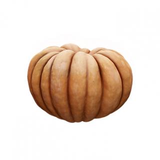 Pumpkin Clean 3D Scan #5