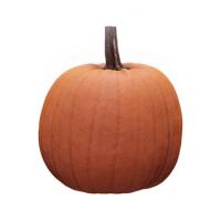 Pumpkin Clean 3D Scan #3