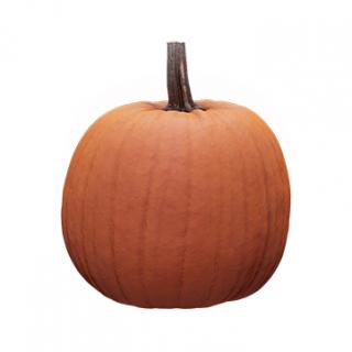 Pumpkin Clean 3D Scan #3