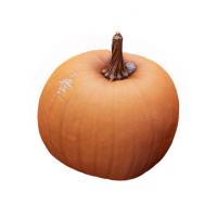 Pumpkin Clean 3D Scan #2