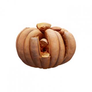 Pumpkin Crashed Clean 3D Scan #6